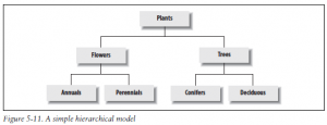 A simple hierarchical model