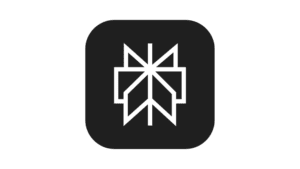 Logo Perplexity AI